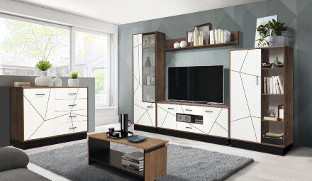 Шкаф комбинированный 54.06 Гамма 